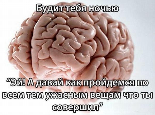 Игры разума (16 фото)