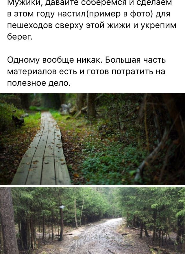 Помост на месте лесной тропинки своими руками (7 фото)