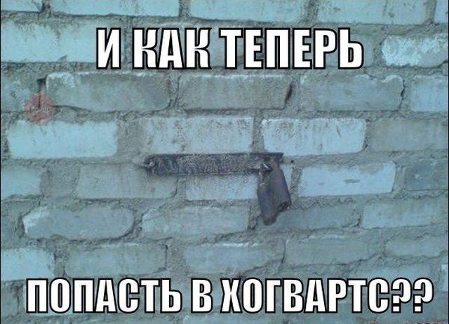 Подборка смешных картинок (20 фото)