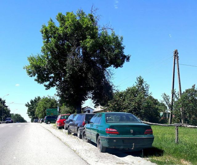 Польское село превратилось в свалку брошенных автомобилей (15 фото)
