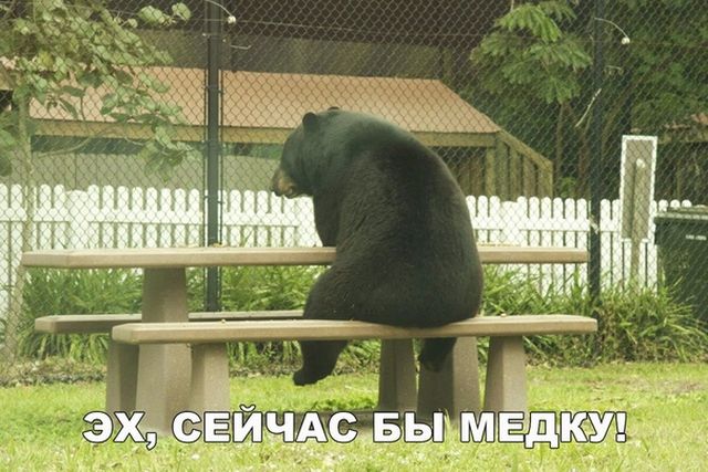 Смешные картинки для хорошего настроения (20 фото)