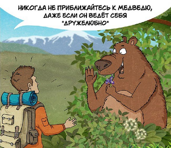 Как следует вести себя при встрече с медведем (10 фото)