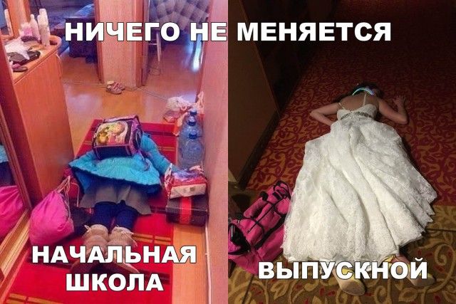 Прикольные картинки (20 фото)