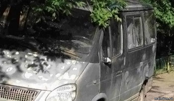 Припарковался на тротуаре (4 фото)