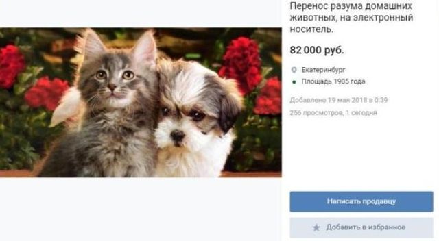 Необычная услуга для владельцев домашних питомцев (2 фото)