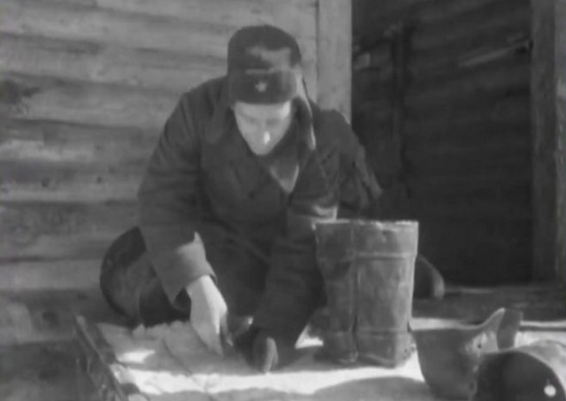 Немецкая "кошачья ловушка" времен ВОВ (4 фото)