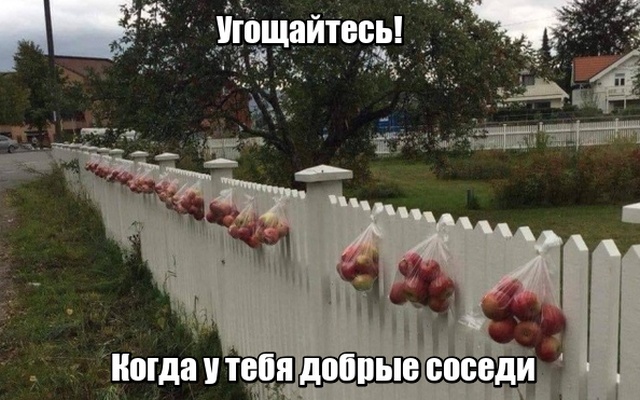 Подборка интересных картинок (20 фото)