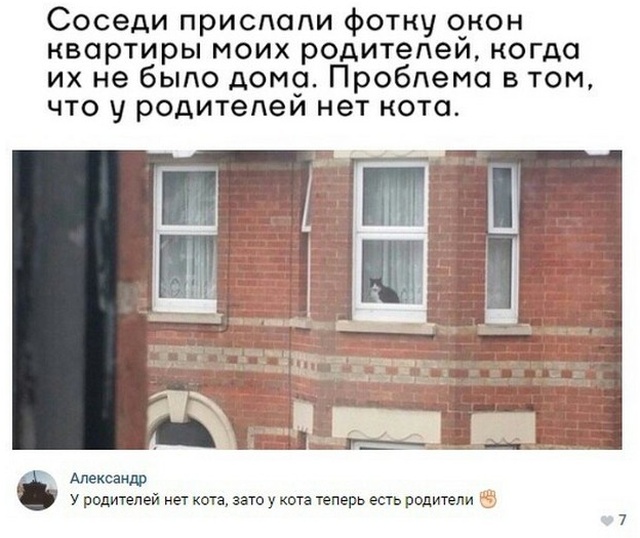 Смешные высказывания из социальных сетей (20 скриншотов)
