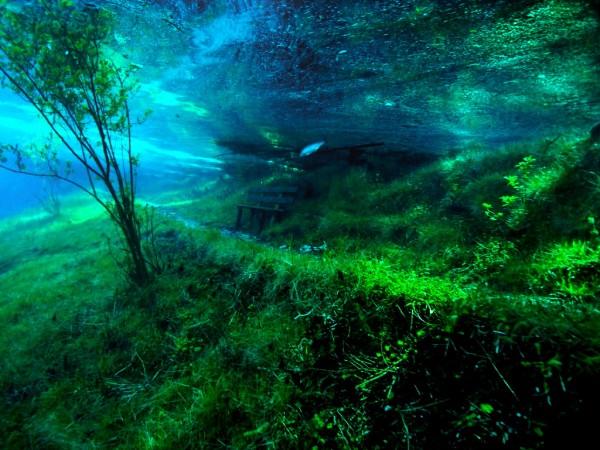 Подводный парк «Зеленое озеро» (16 фото)