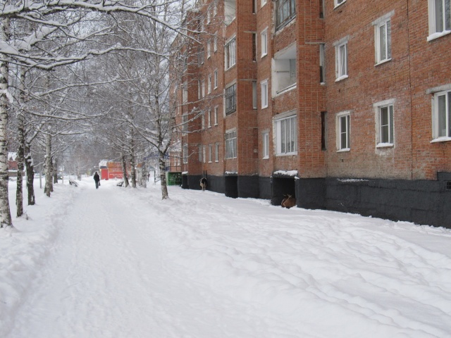 Когда внезапно наступила зима (4 фото)