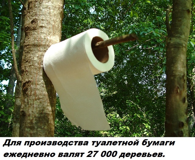 Бесполезные факты обо всем на свете (28 фото)