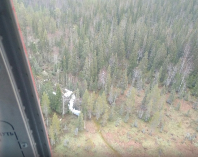 Жесткая посадка Ан-2 в лесу Архангельской области (7 фото)