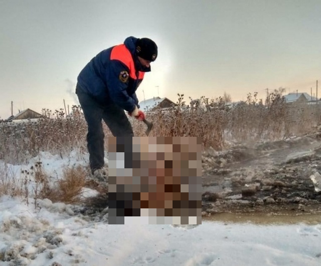 Спасение лошади и жеребенка из "ледяной ловушки" в Якутии (6 фото)