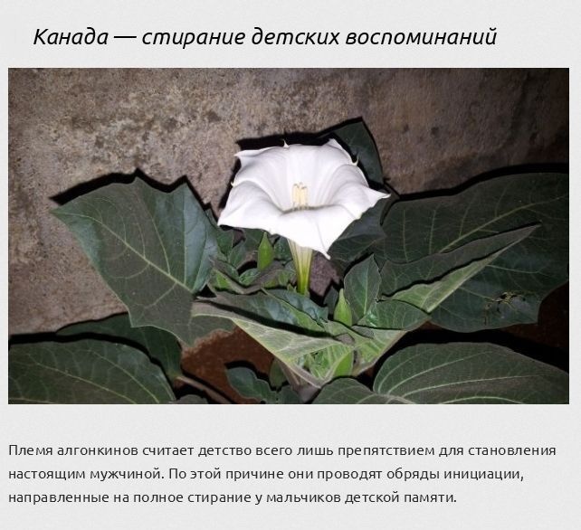 ТОП-9 сложнейших испытаний для мужчин (9 фото)