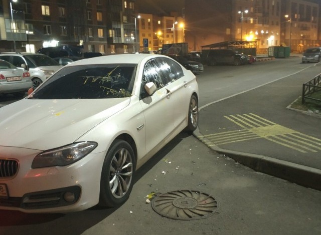 Уровень парковки - царь на BMW (4 фото)