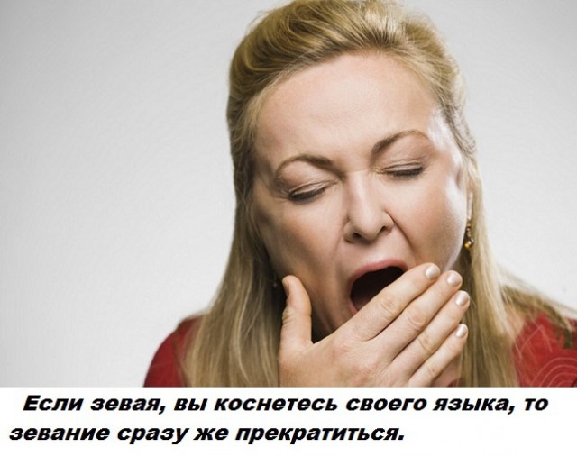 Бесполезные факты обо всем на свете (28 фото)