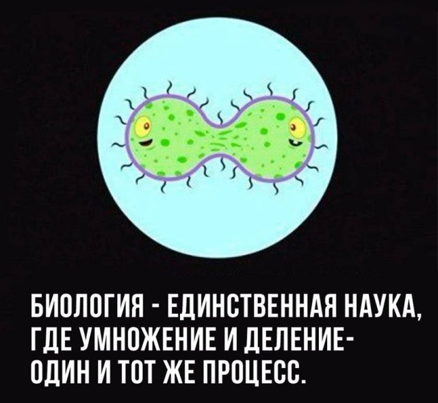 Подборка умного юмора, который заставляет задуматься (44 фото)