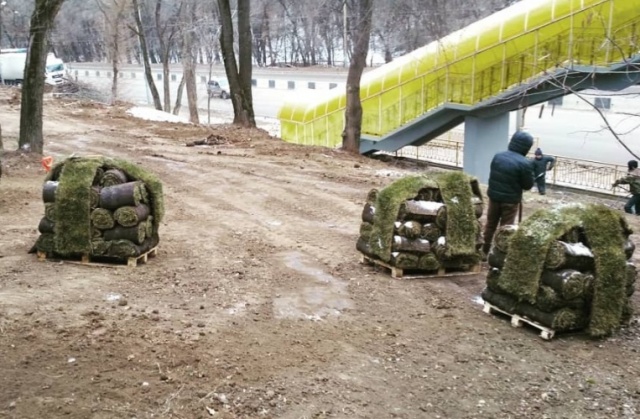 Укладка рулонного газона (3 фото)