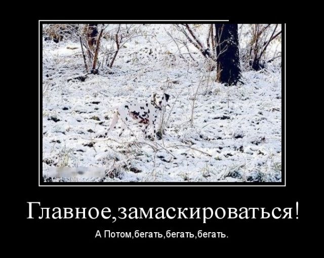 Демотиваторы