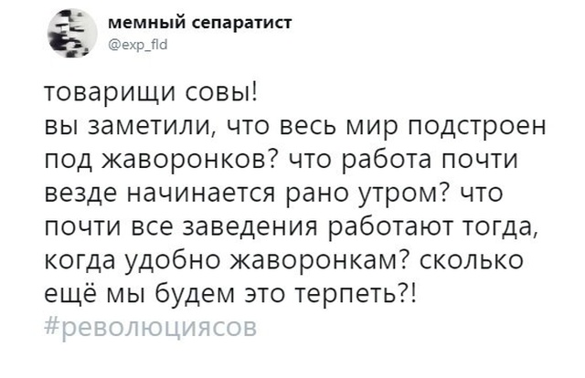 Про жаворонков и сов (3 скриншота)