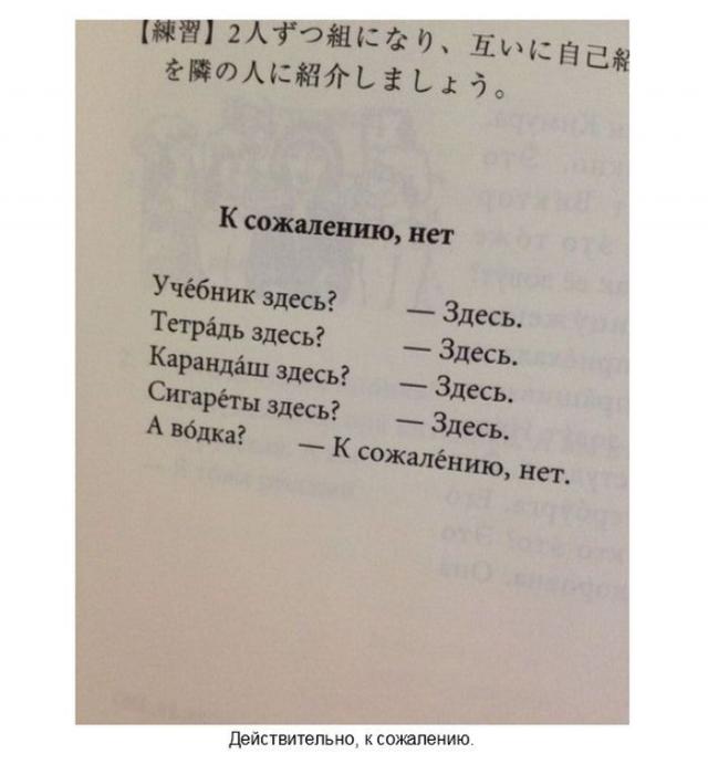 Почему иностранцам сложно понять русских людей? (20 фото)