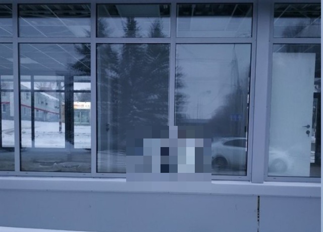 Необычный общественный туалет в Ульяновске (2 фото)