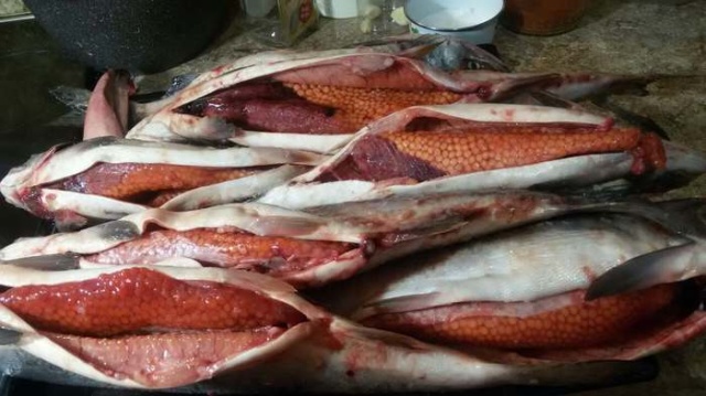 Купили рыбу в магазине, и она оказалась с сюрпризом (2 фото)