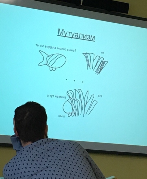 Презентация 100 уровня (7 фото)