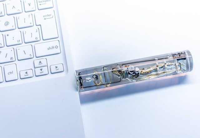 Необычная USB-флешка с селедкой (4 фото)