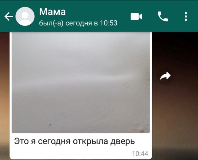 Когда всю ночь шел снег (4 фото)