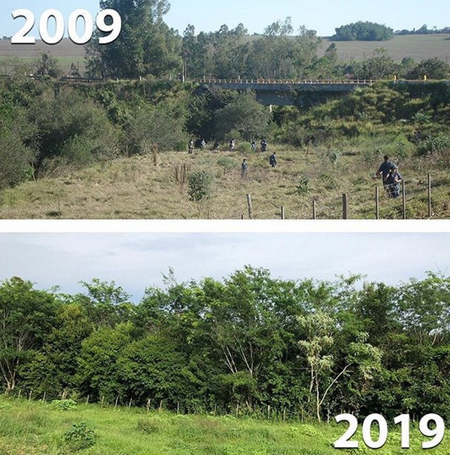 Экологические организации присоединились к 10YearChallenge (7 фото)