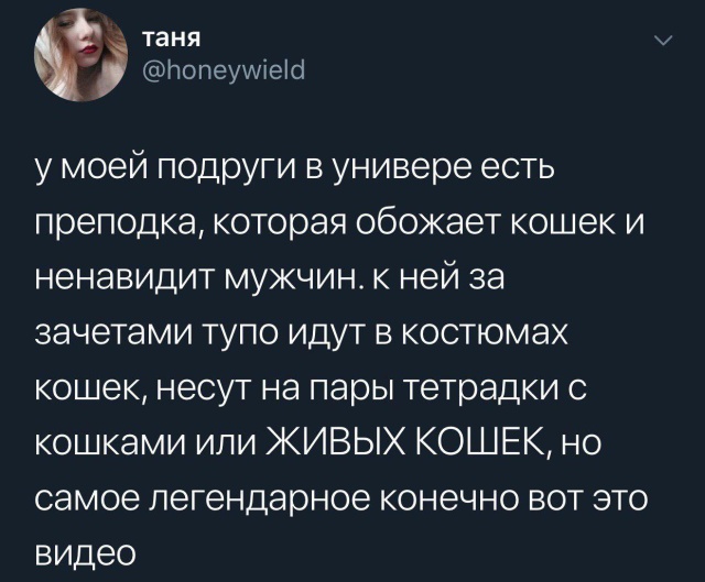 Креативный способ выпросить зачёт у преподавателя (5 фото)