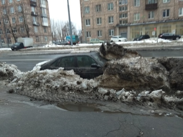 Первые "подснежники" (3 фото)