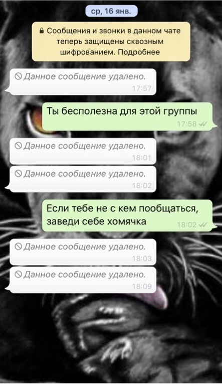 Ссора матерей в детском саду из-за удаления из группы (5 фото)