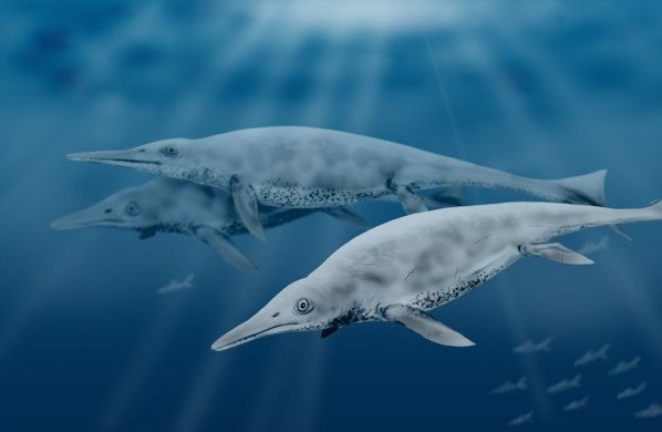 Доисторические морские чудовища (10 фото)