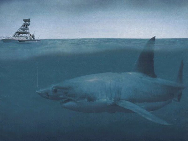 Доисторические морские чудовища (10 фото)