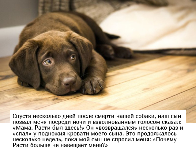 Родители рассказали о пугающих высказываниях детей (8 скриншотов)
