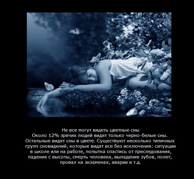 Интересные факты о сне в картинках (9 фото)
