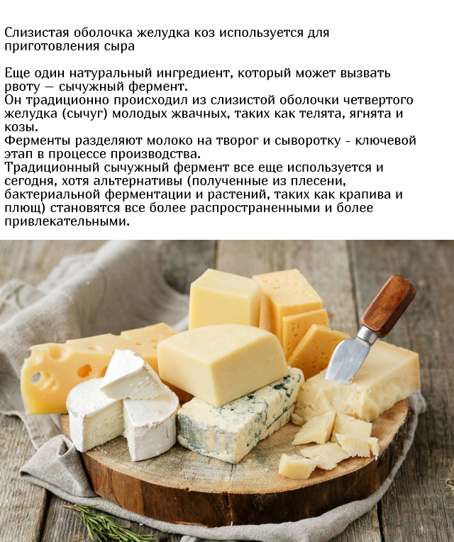 Неожиданные и необычные ингредиенты, которые содержатся в еде (5 фото)