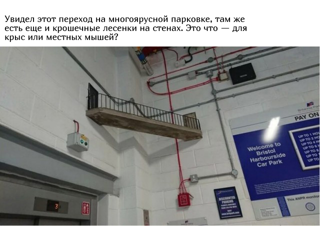 Люди спрашивают: "Что это такое?" (16 фото)