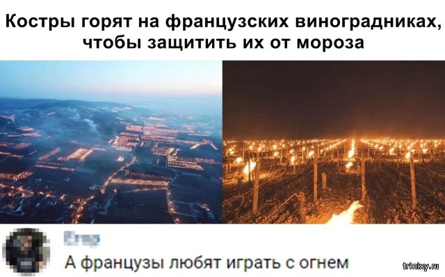 Юмор и шутки из социальных сетей (20 фото)