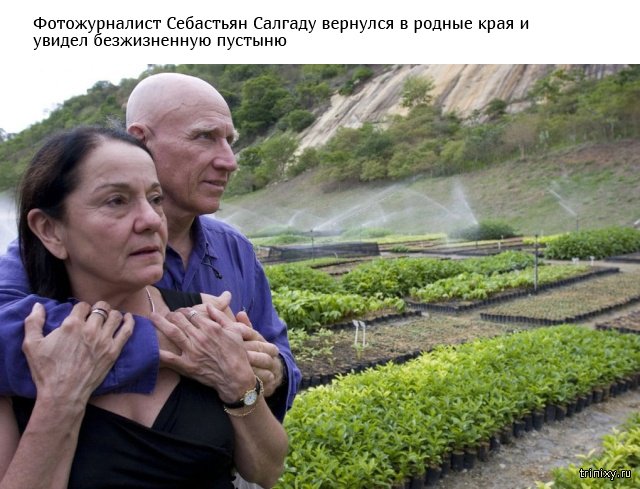 Супруги высадили более 2 миллионов деревьев (9 фото)