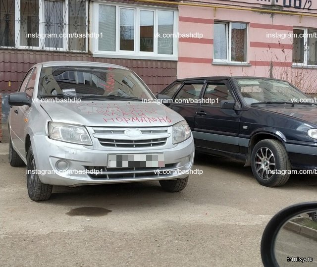 Оставила "напоминалку" об алиментах (7 фото)