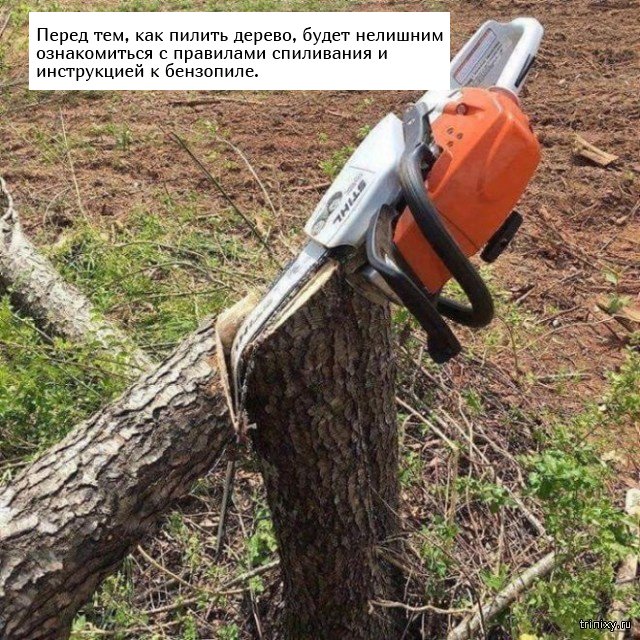 Почему сначала нужно думать, а потом делать, но не наоборот (20 фото)