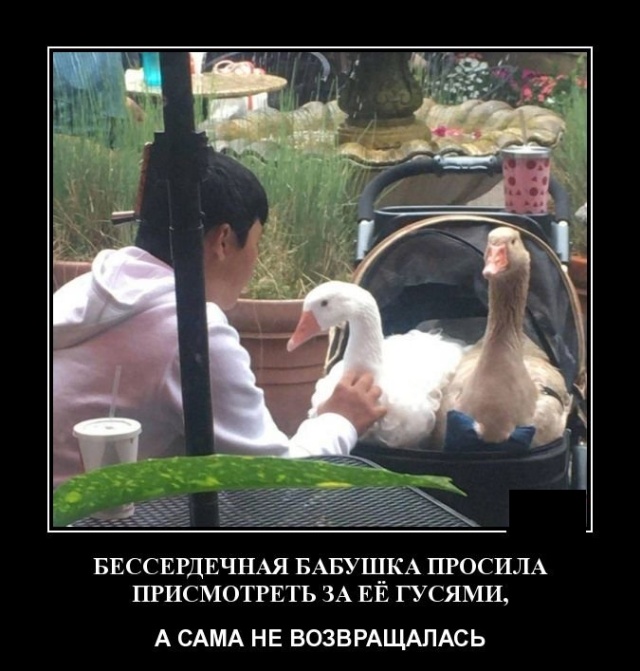 Демотиваторы (20 фото)