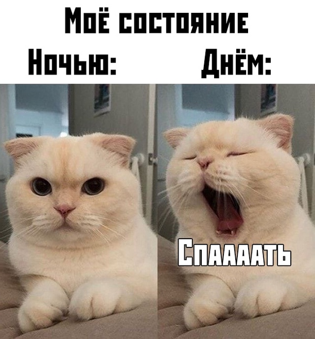 Подборка прикольных фото (68 фото)