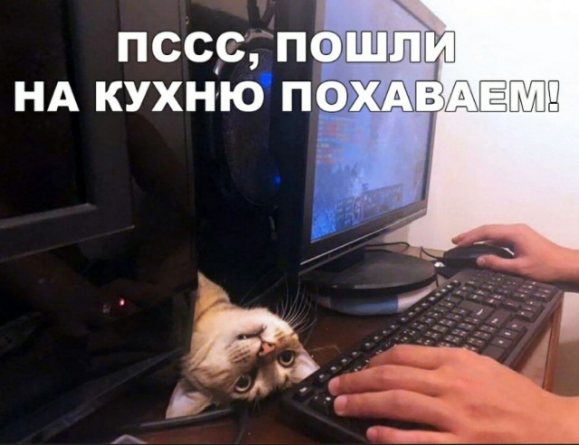 Подборка прикольных фото (67 фото)