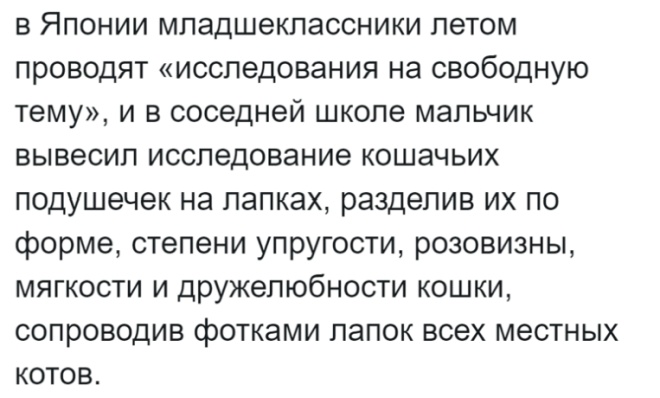 Россиянка живёт в Японии и рассказывает об особенностях страны(26фото)