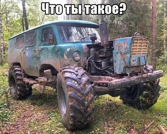 Подборка прикольных фото (60 фото)