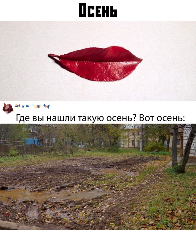 Подборка прикольных фото №2211 (60 фото)